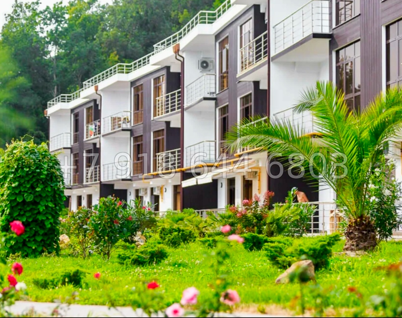 № 173 р. Квартира с террасой в ЖК Лазурный Берег Сочи  - миниатюра 3