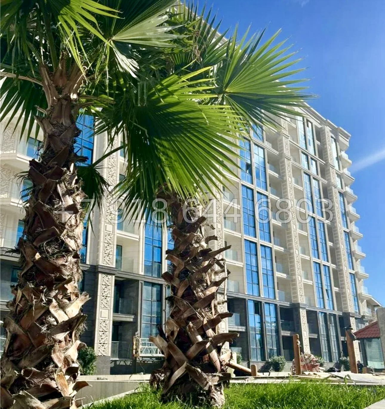 № 239 р. Квартира у моря в ЖК Море Сочи  - миниатюра 9