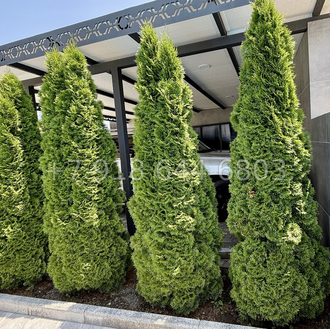 № 14 В. Дом с ремонтом в Адлере  - миниатюра 7