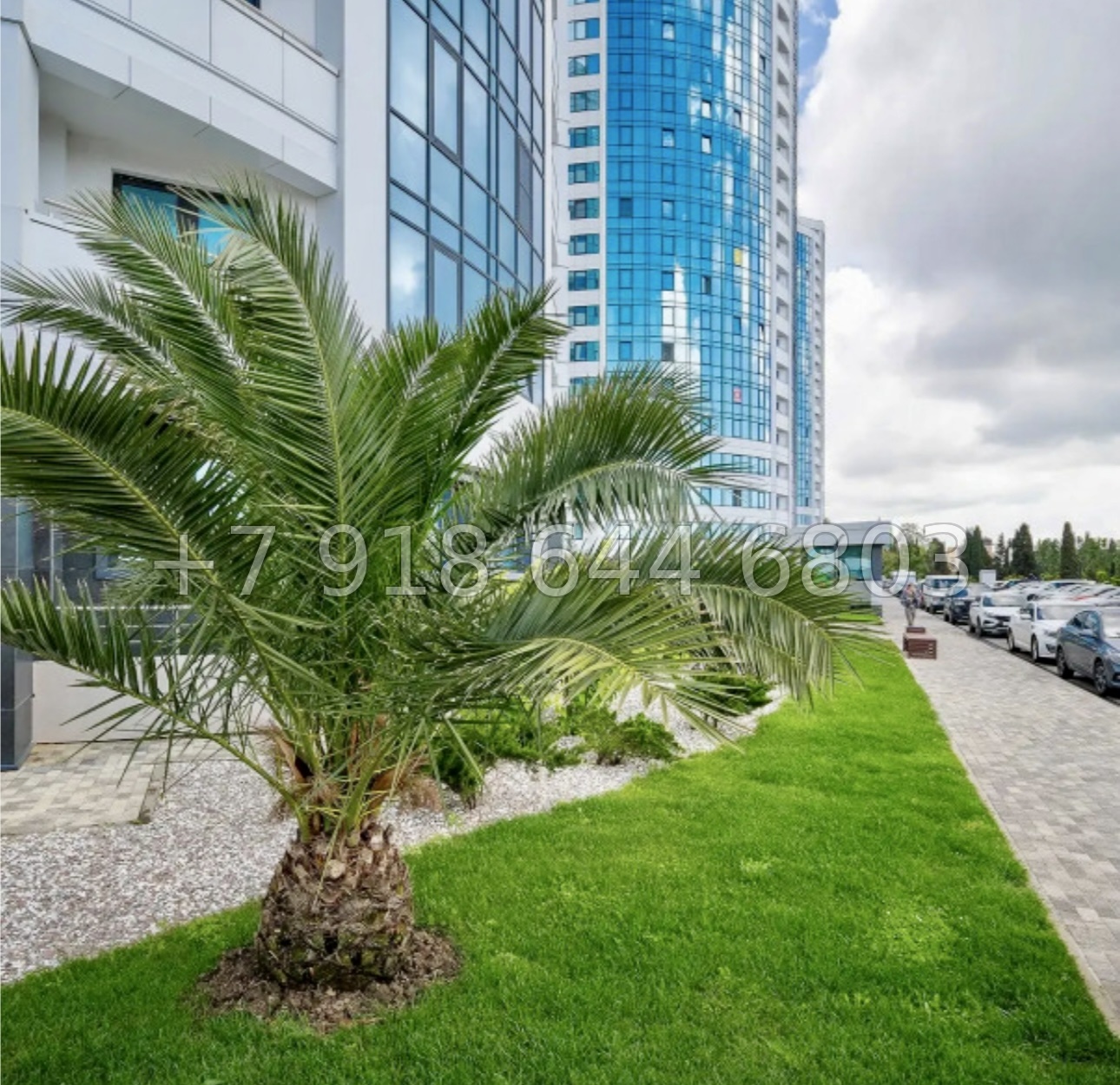 № 310 р. Пентхаус в Адлере Морская Симфония  - миниатюра 22