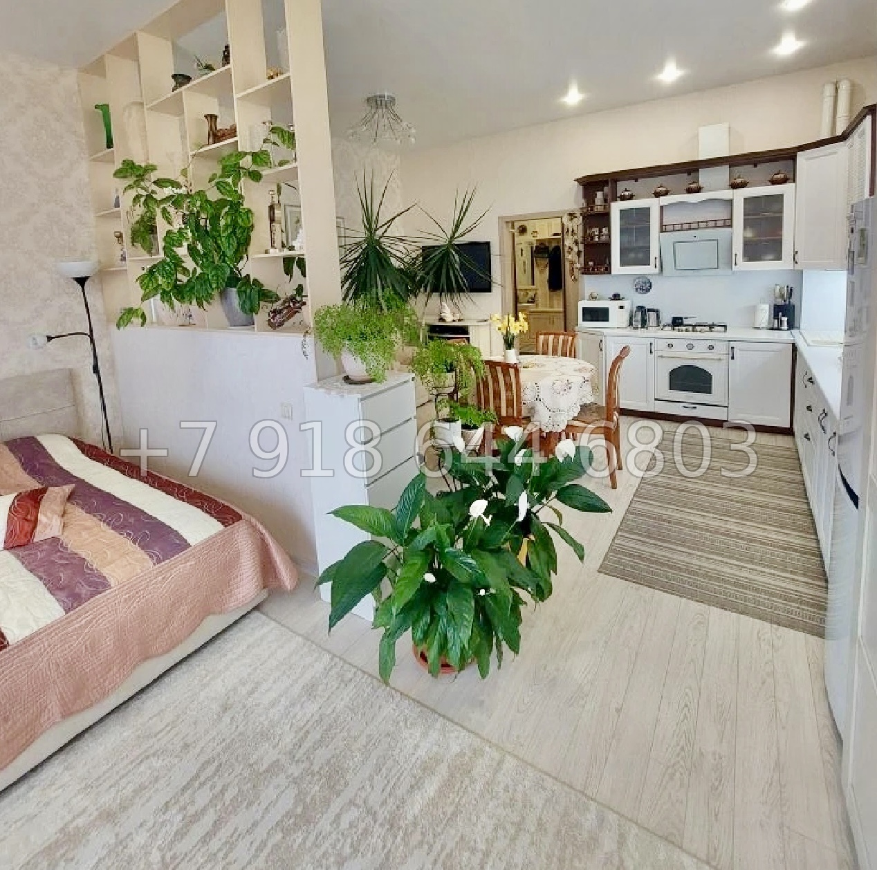 № 370 р. Квартира у Сириуса  - миниатюра 18