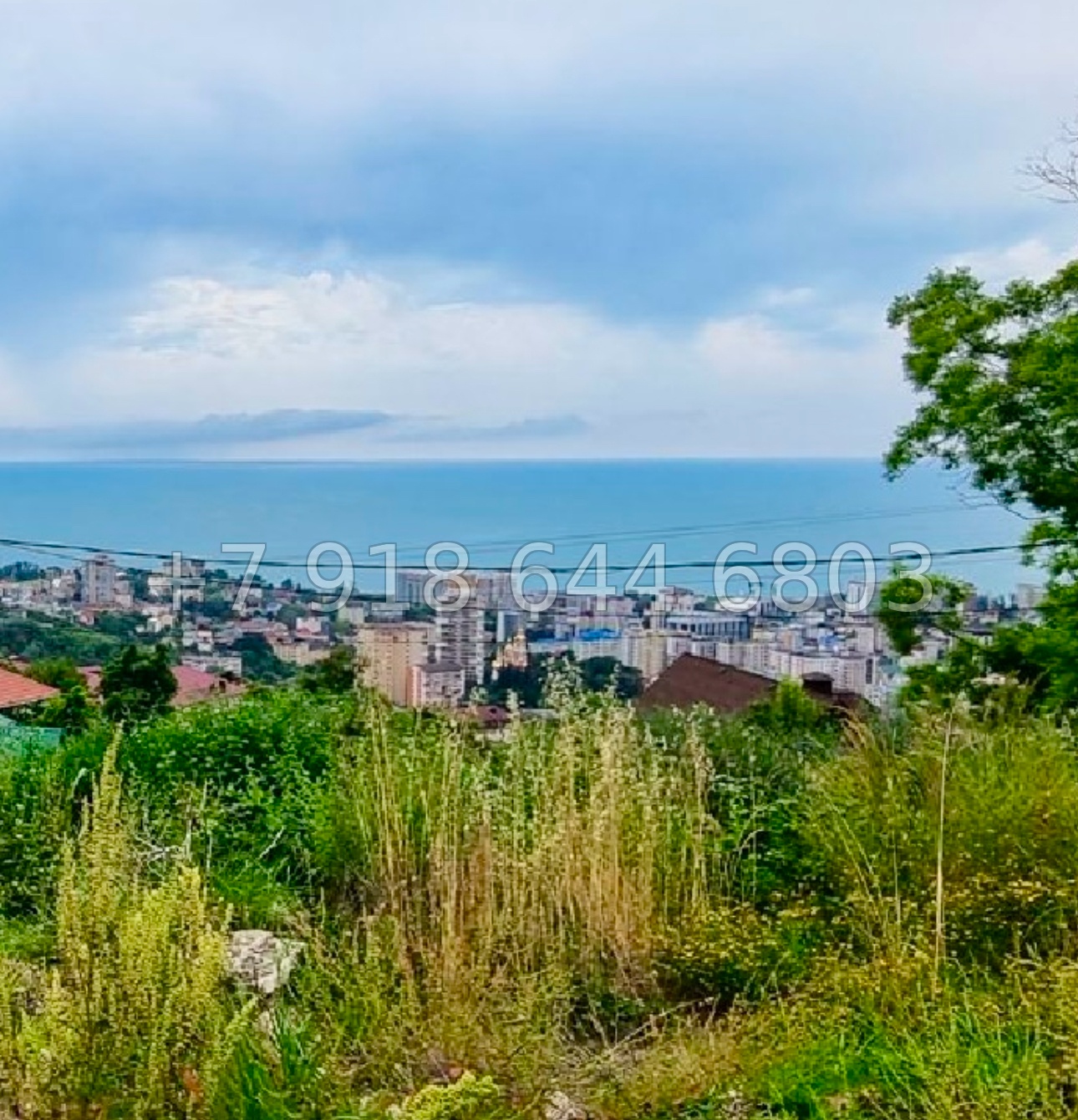 № 27. Земля с видом на море в Сочи  - миниатюра 1