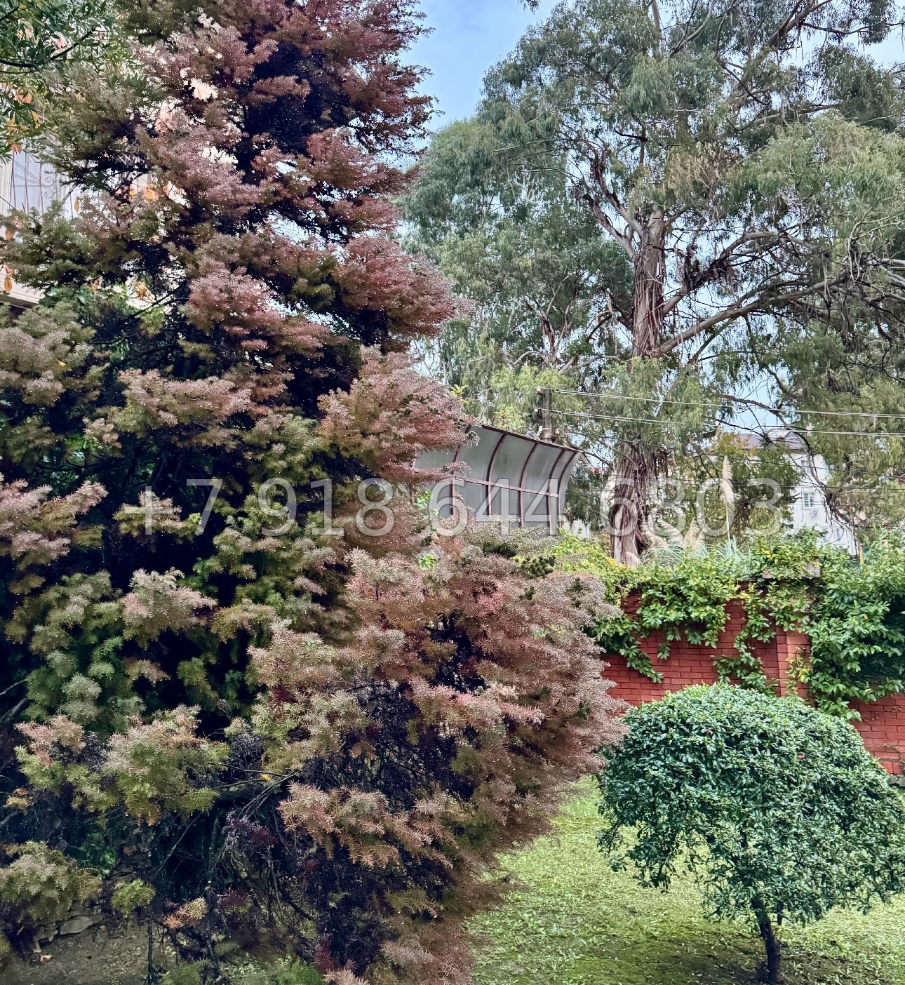 № 52 в. Дом в центре города Сочи с бассейном  - миниатюра 17