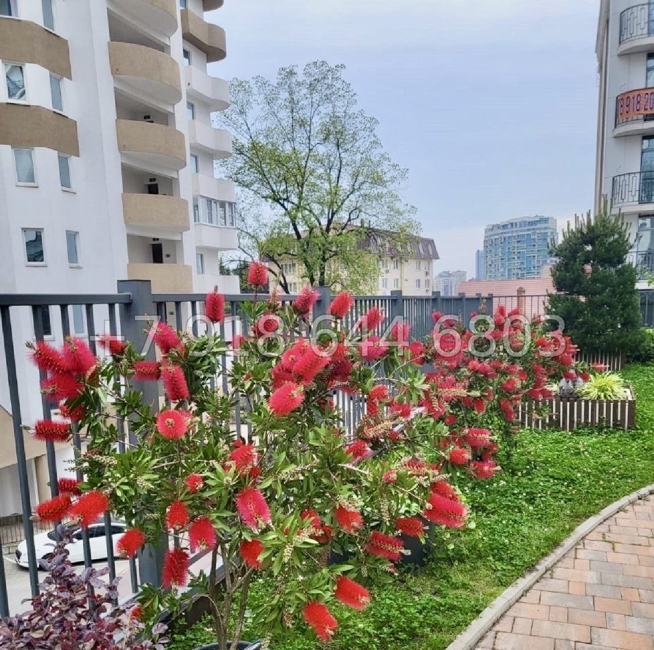 № 493 р. ЖК Альпийский квартал Сочи  - миниатюра 17