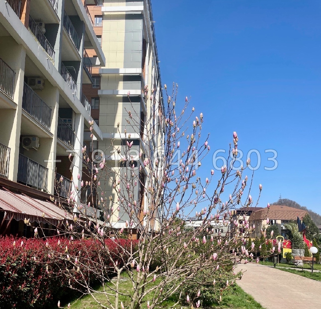 № 506 р. ЖК Каравелла Португалии Сочи Дагомыс  - миниатюра 21