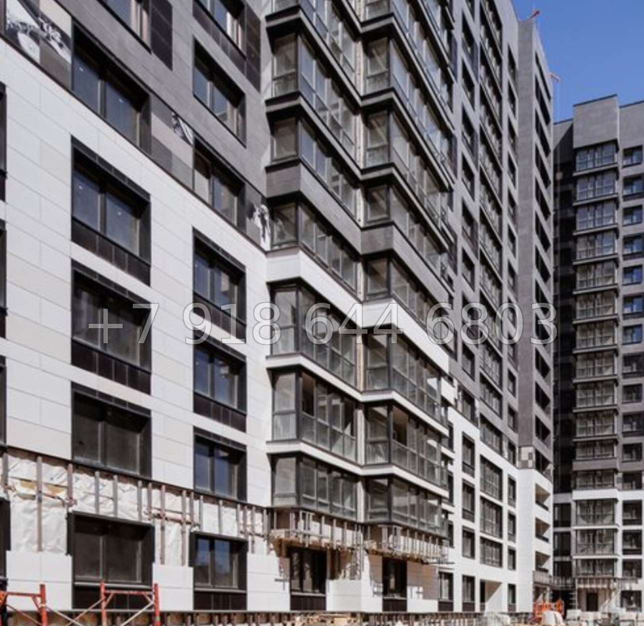 № 16 ы. (СДАН) Метро Девяткино. Метро Парнас. ЖК Фотограф Мурино - миниатюра 8