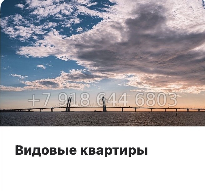 № 52 ы. Метро Горный Институт. ЖК Monodom Art Санкт Петербург  - миниатюра 15