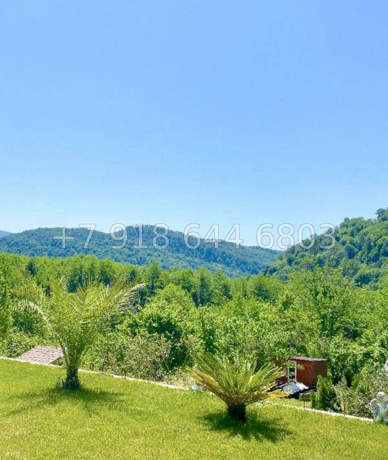 № 72 Б. Дом с озером с карпами в Адлере  - миниатюра 34