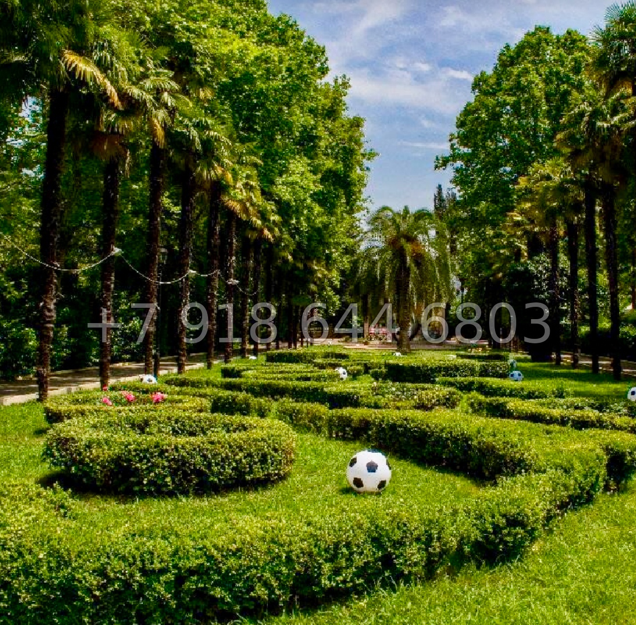 № 14р. Квартира у парка Ривьера в центре города Сочи  - миниатюра 17