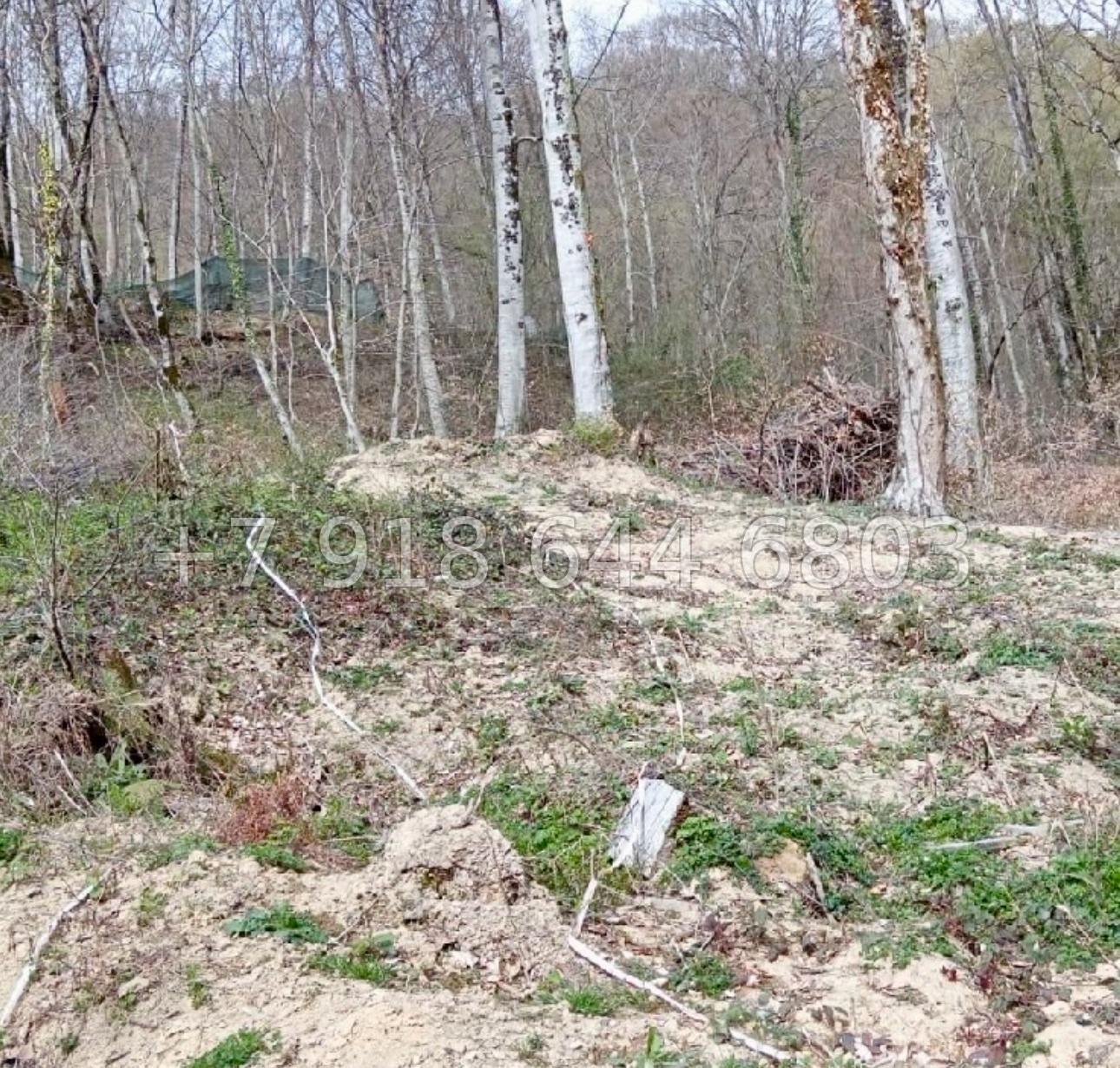 № 16 у. Земля в Сочи Дагомыс  - миниатюра 2