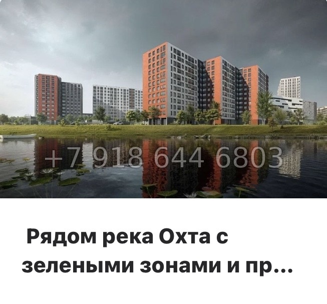 № 11 ы. Метро Девяткино. ЖК Амурино. г. Мурино  - миниатюра 12