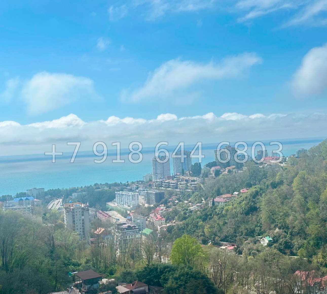 № 223 п. Квартира с видом на море в ЖК Сочи Парк  - миниатюра 4