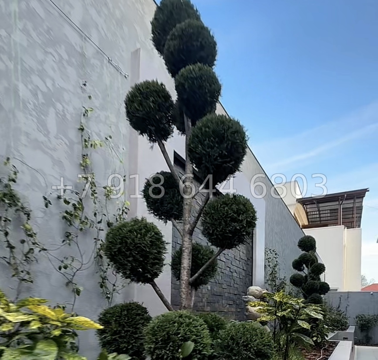 № 59 м. Дом в Сочи Хоста - миниатюра 14