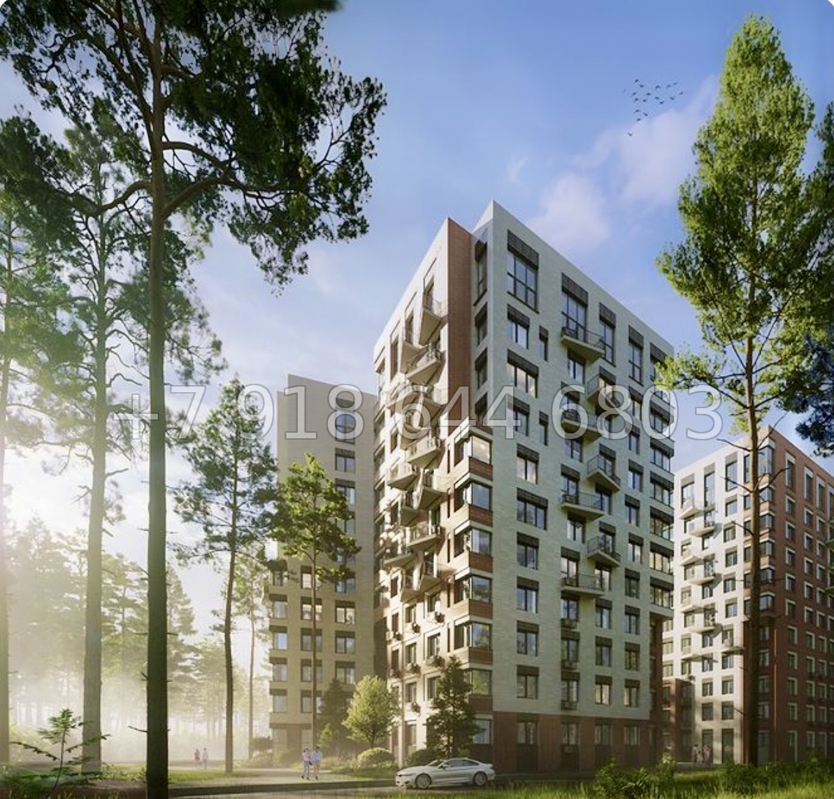 № 21 ы. Метро Парнас. ЖК ВЕРЕН НОРТ Сертолово - миниатюра 4