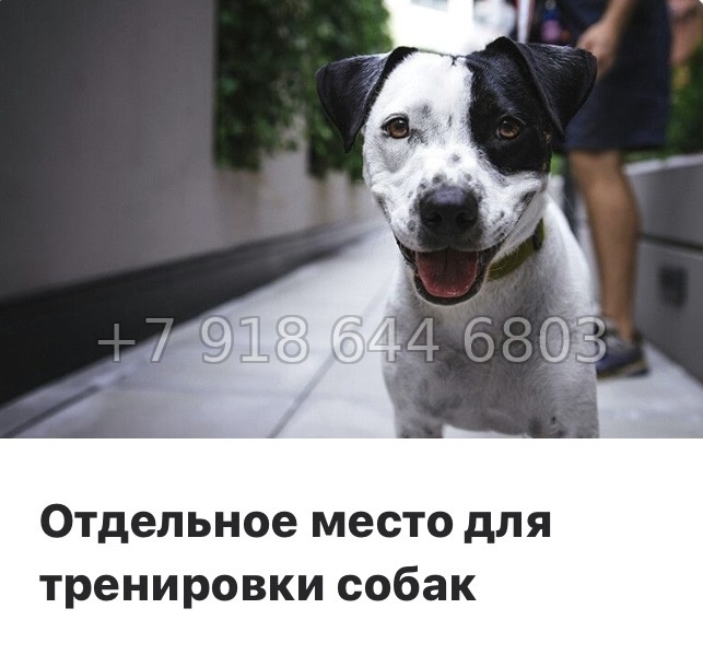 № 3 ы. Метро Девяткино. ЖК Урбанист  - миниатюра 10