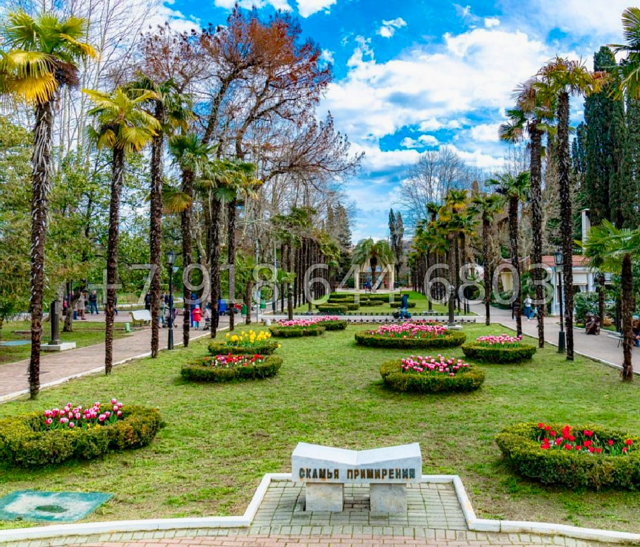 № 14р. Квартира у парка Ривьера в центре города Сочи  - миниатюра 19