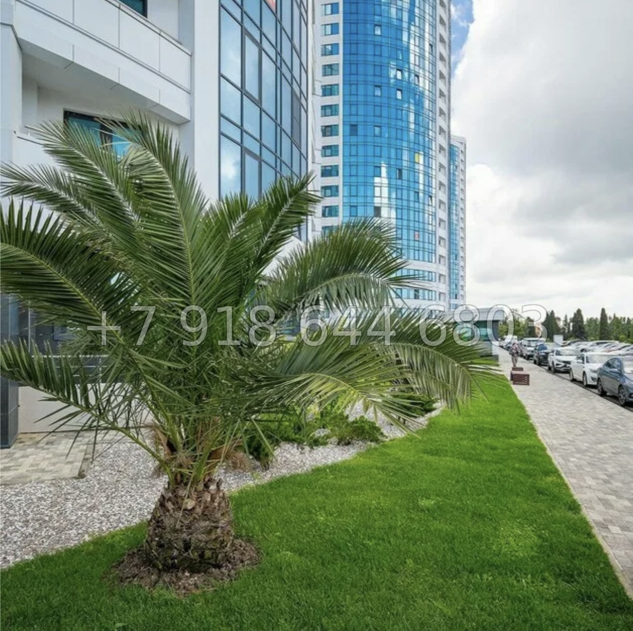 № 235 р. Четырехкомнатная квартира на море в Адлере. ЖК Морская Симфония  - миниатюра 30