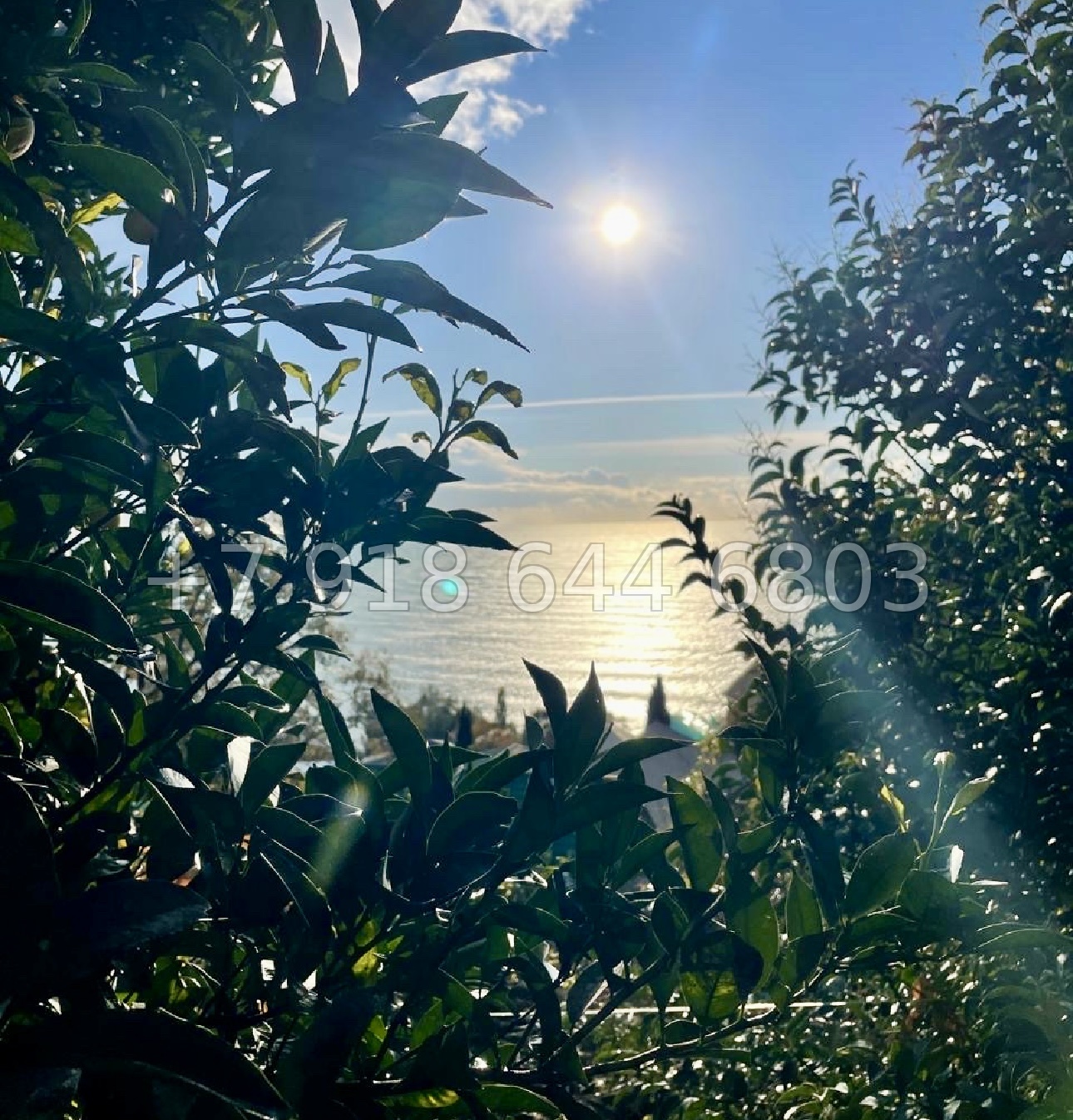 № 142 Б. Дом с видом на море в Сочи  - миниатюра 4