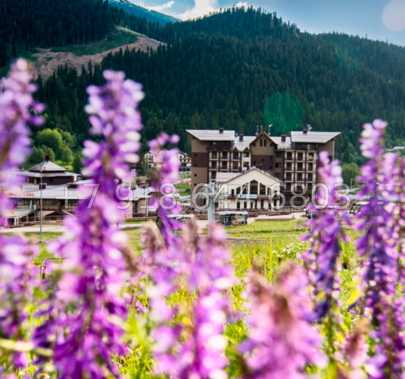 № 8 э. АК Романтик Архыз - миниатюра 3