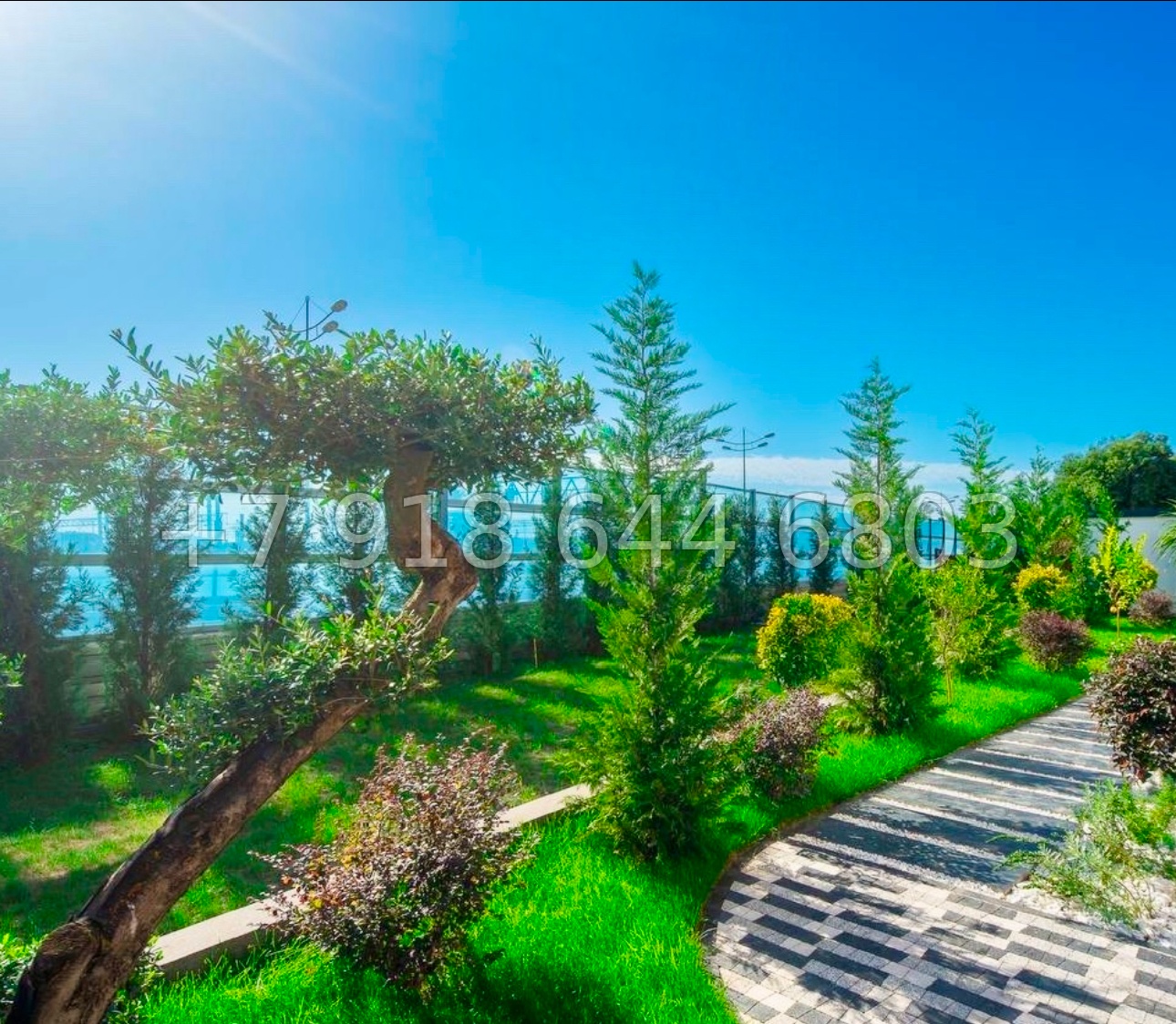 № 83 В. Дом в Сириусе. Дом с бассейном  - миниатюра 16