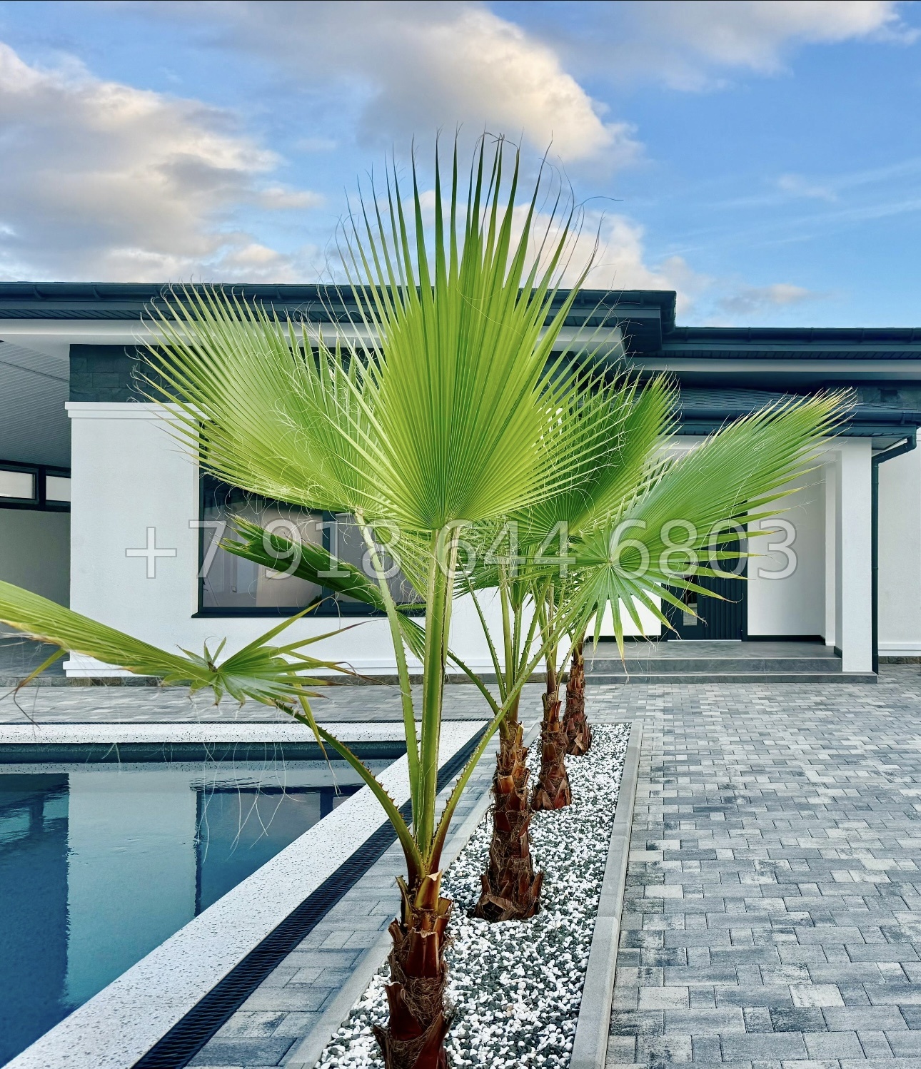 № 9 Б. Одноэтажный дом с бассейном в Адлере  - миниатюра 8