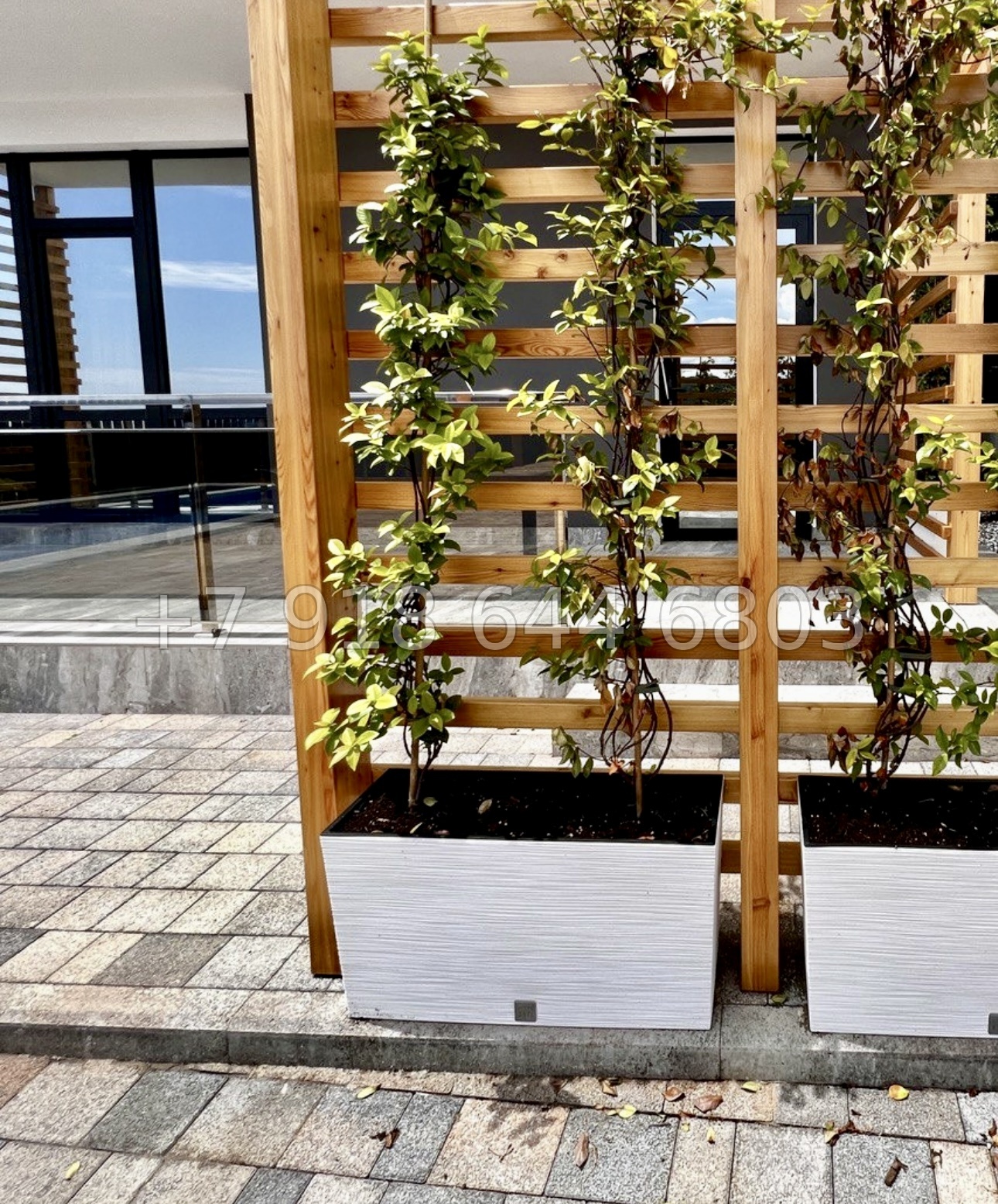 № 18 Б. Дом с бассейном в Адлере  - миниатюра 11