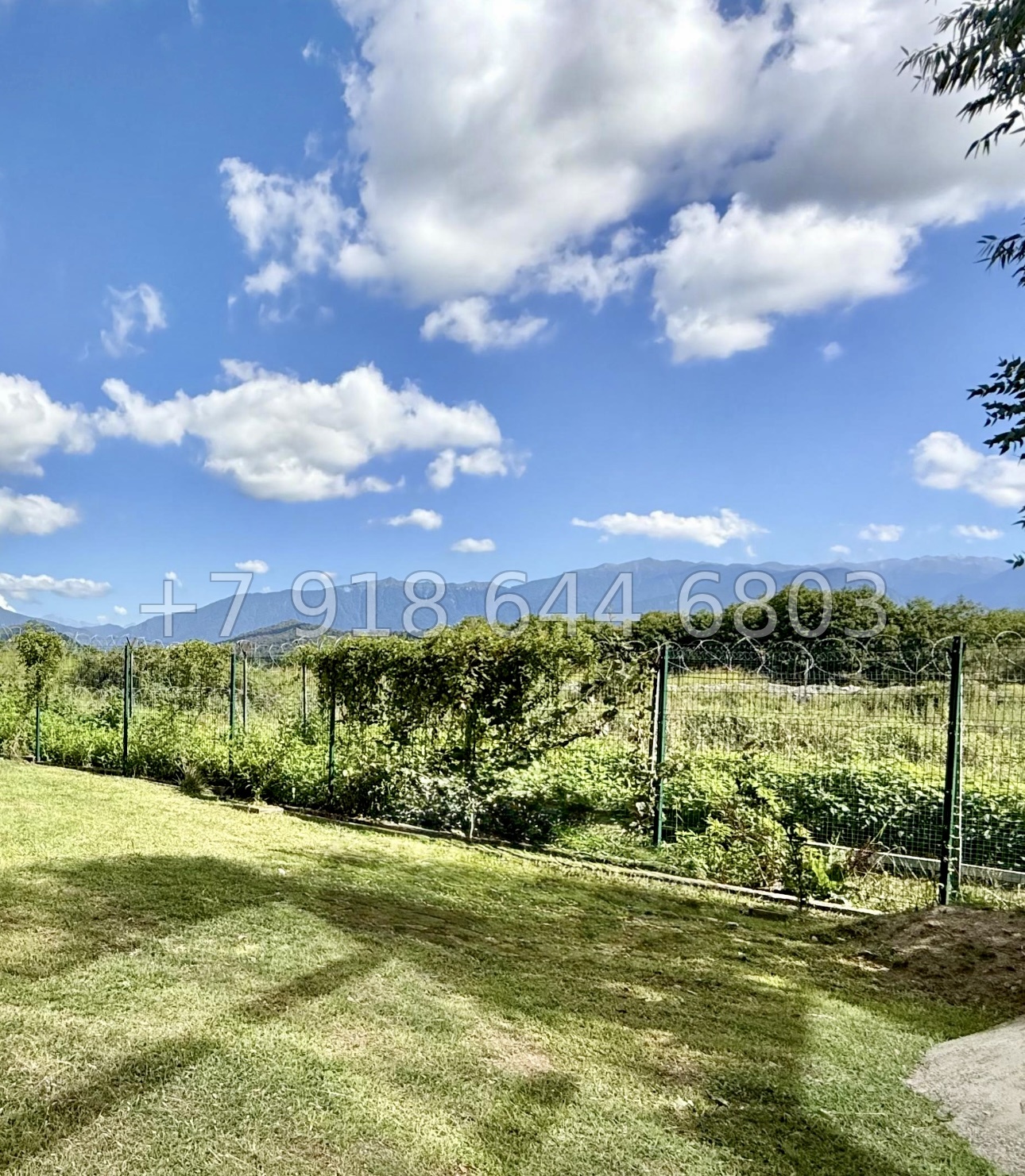 № 6 Д. Дом в Сириусе  - миниатюра 8