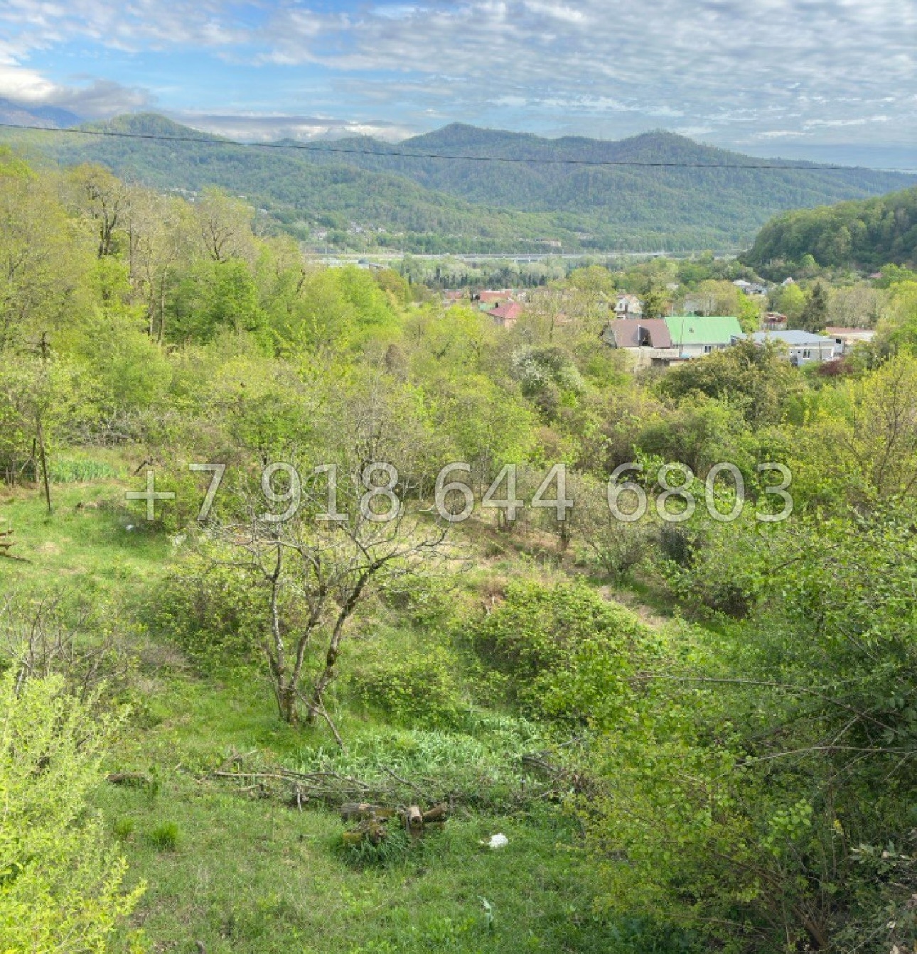 № 13 у. Земля в Адлере  - миниатюра 3