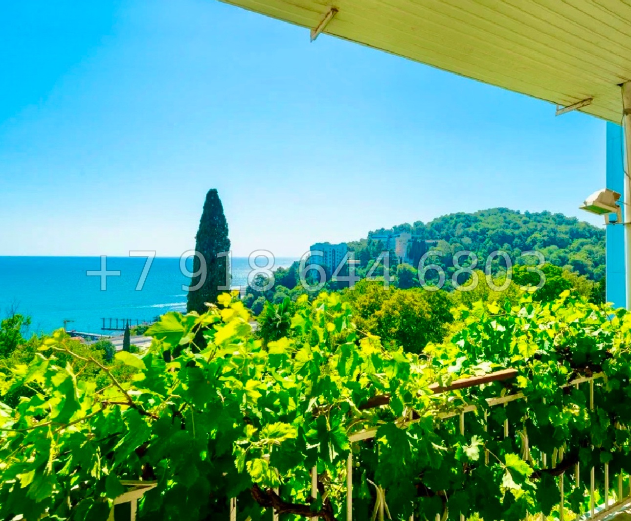 № 198 Б. Дом с ремонтом и мебелью. Вид на море. Сочи Хоста  - миниатюра 38