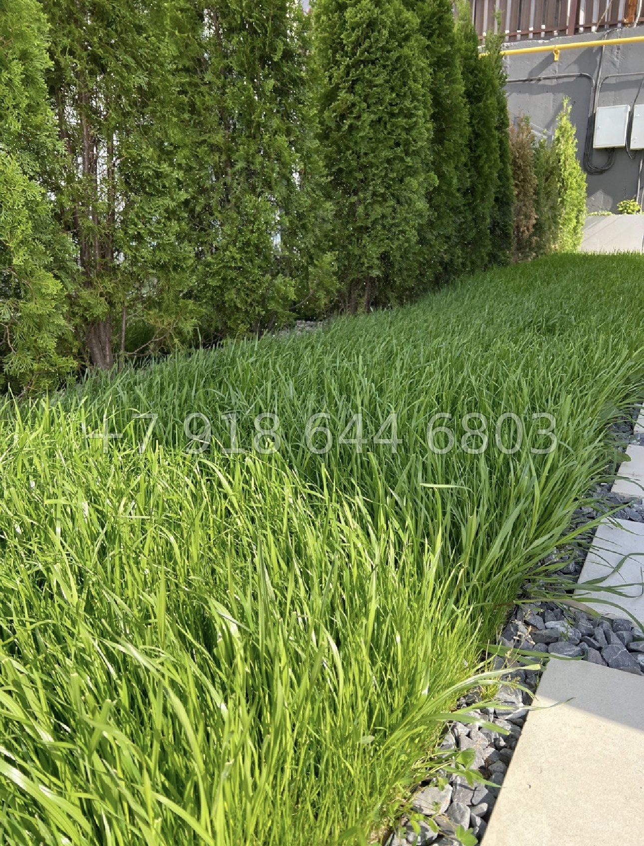 № 58 м. Дом на Звездной в Сочи  - миниатюра 7