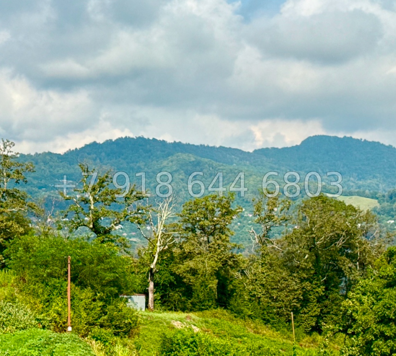 № 149 А. Дом в Сочи Каштанах  - миниатюра 3