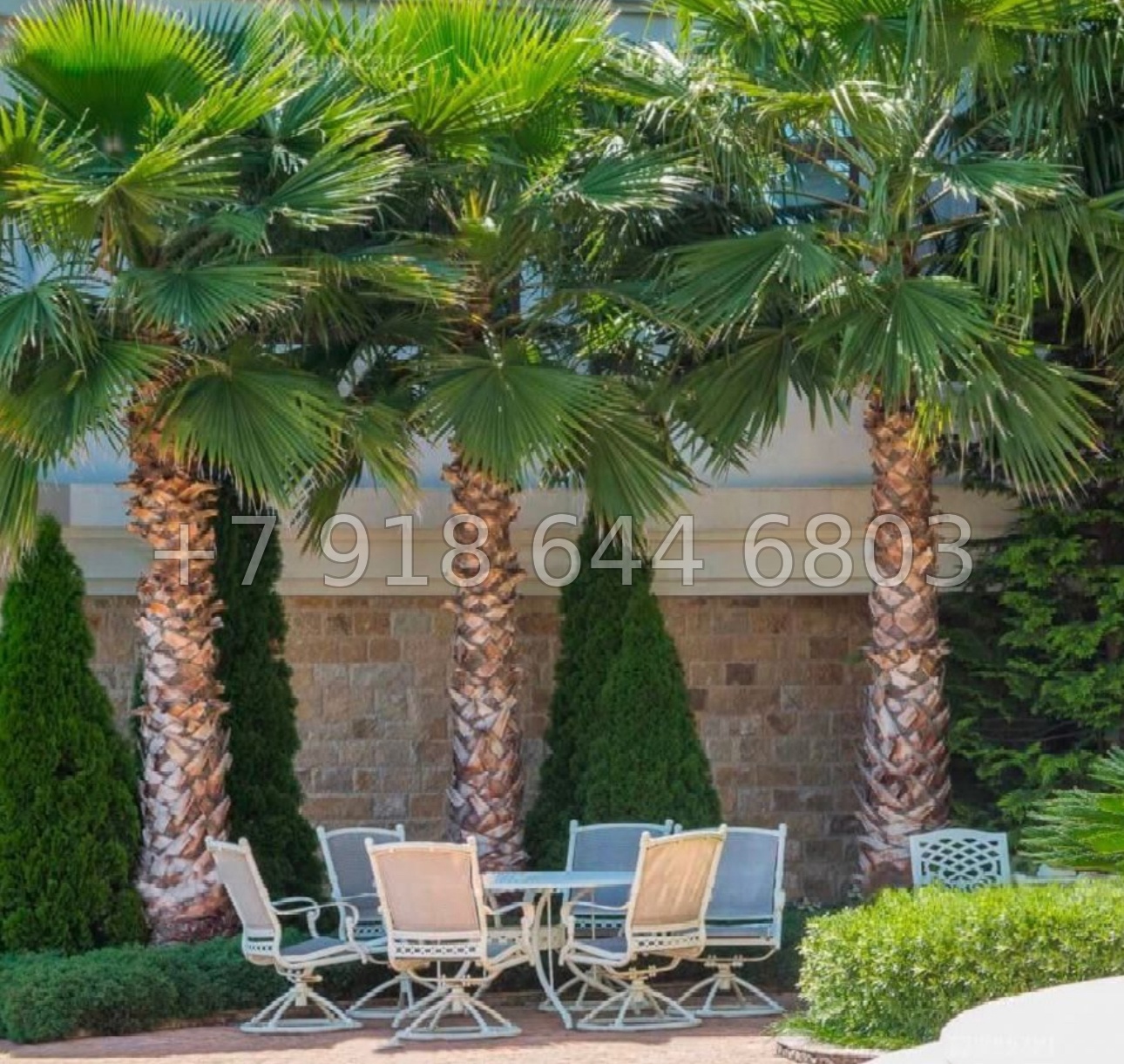 № 11 д. Дом за 2 миллиарда рублей в Сочи  - миниатюра 4