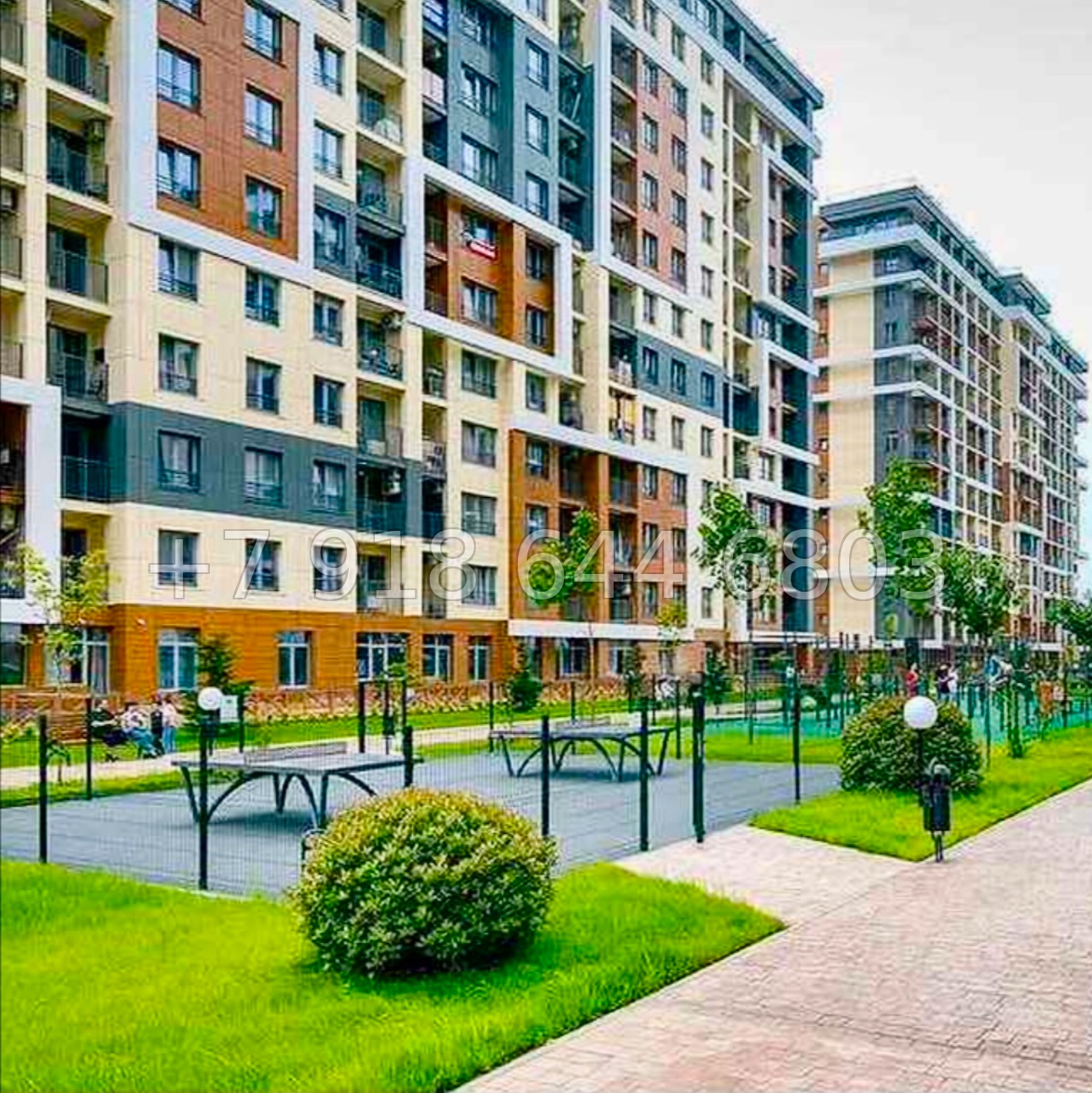 № 655 р. Квартира на берегу Черного моря в Сочи  - миниатюра 15