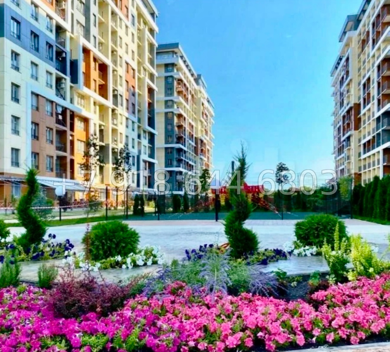 № 463 р. Квартира у моря в Сочи Дагомысе  - миниатюра 17