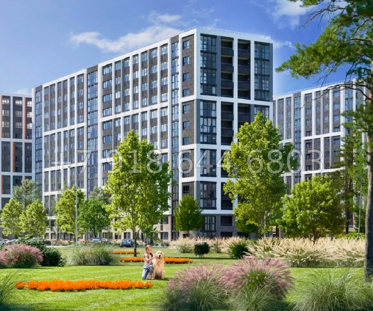 № 5ю. Самые ДЕШЕВЫЕ квартиры в Крыму. ЖК Крокус Симферополь - миниатюра 1