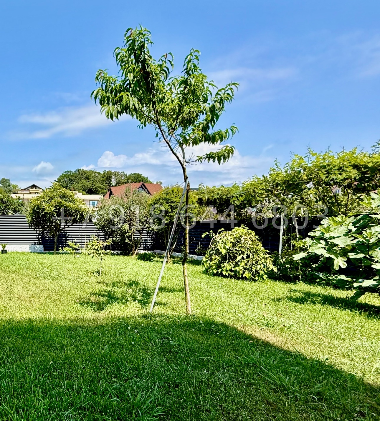 № 3 В. Дом с ремонтом в Адлере  - миниатюра 9