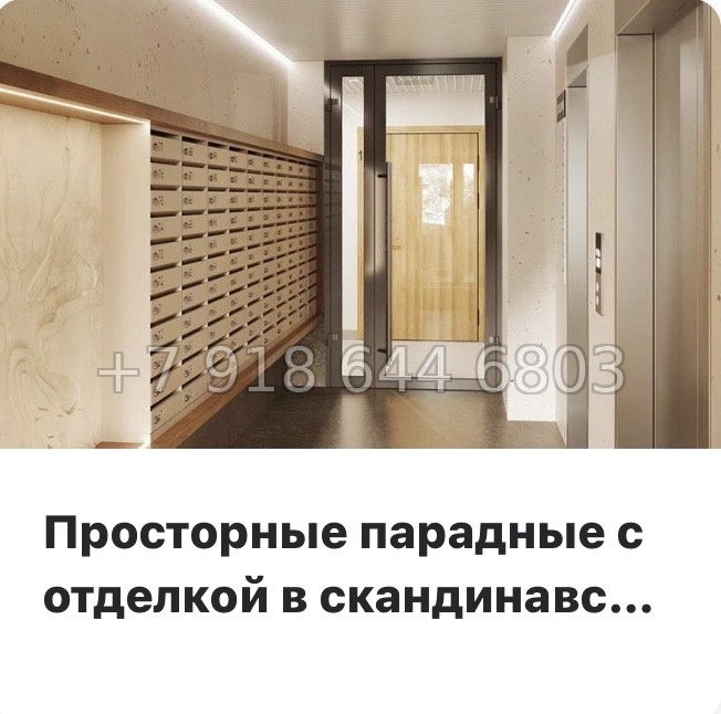 № 84 в. Метро Парнас. ЖК Dogma. Юкки - миниатюра 19