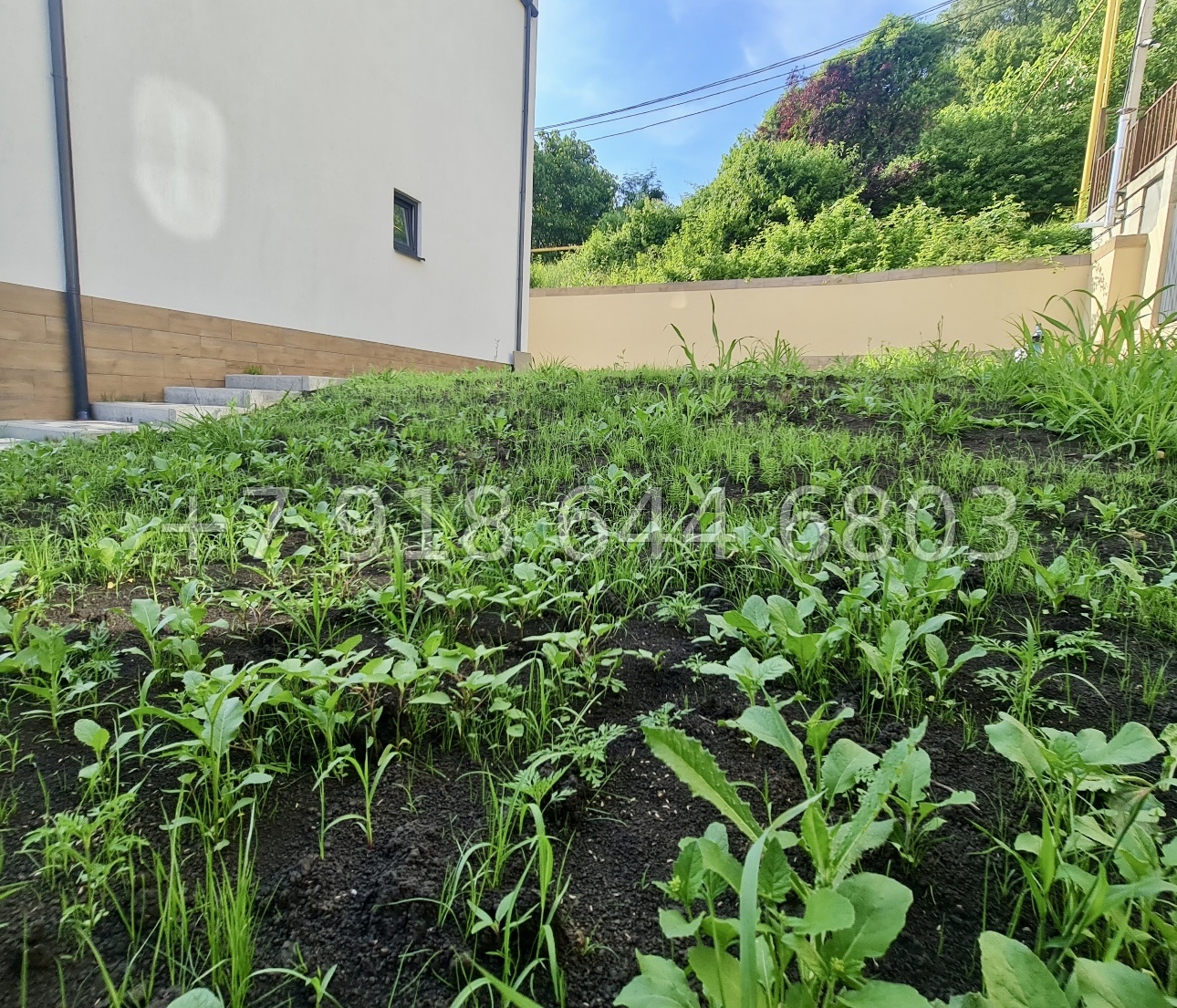 №50А. Дом в городе Сочи  - миниатюра 6