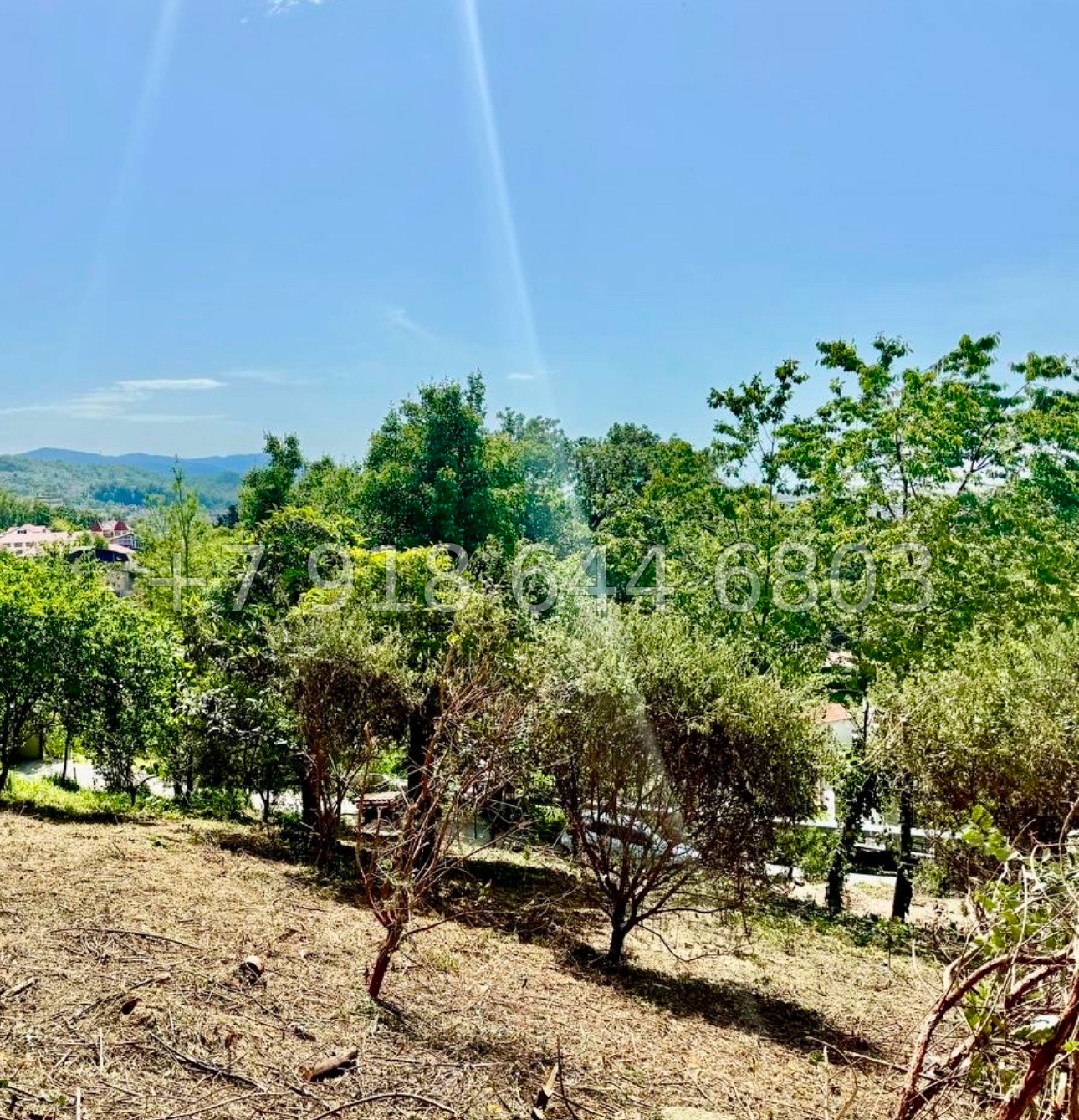 № 7у. Земля рядом с Сириусом  - миниатюра 5