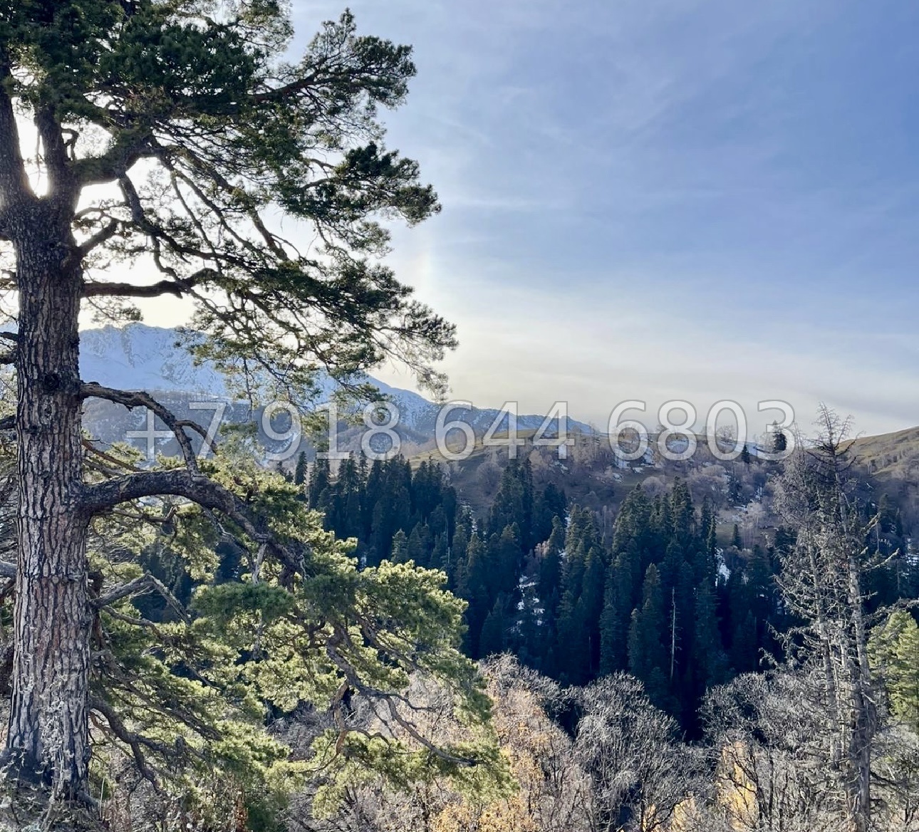 № 1 э. ЖК Романтик Архыз - миниатюра 23