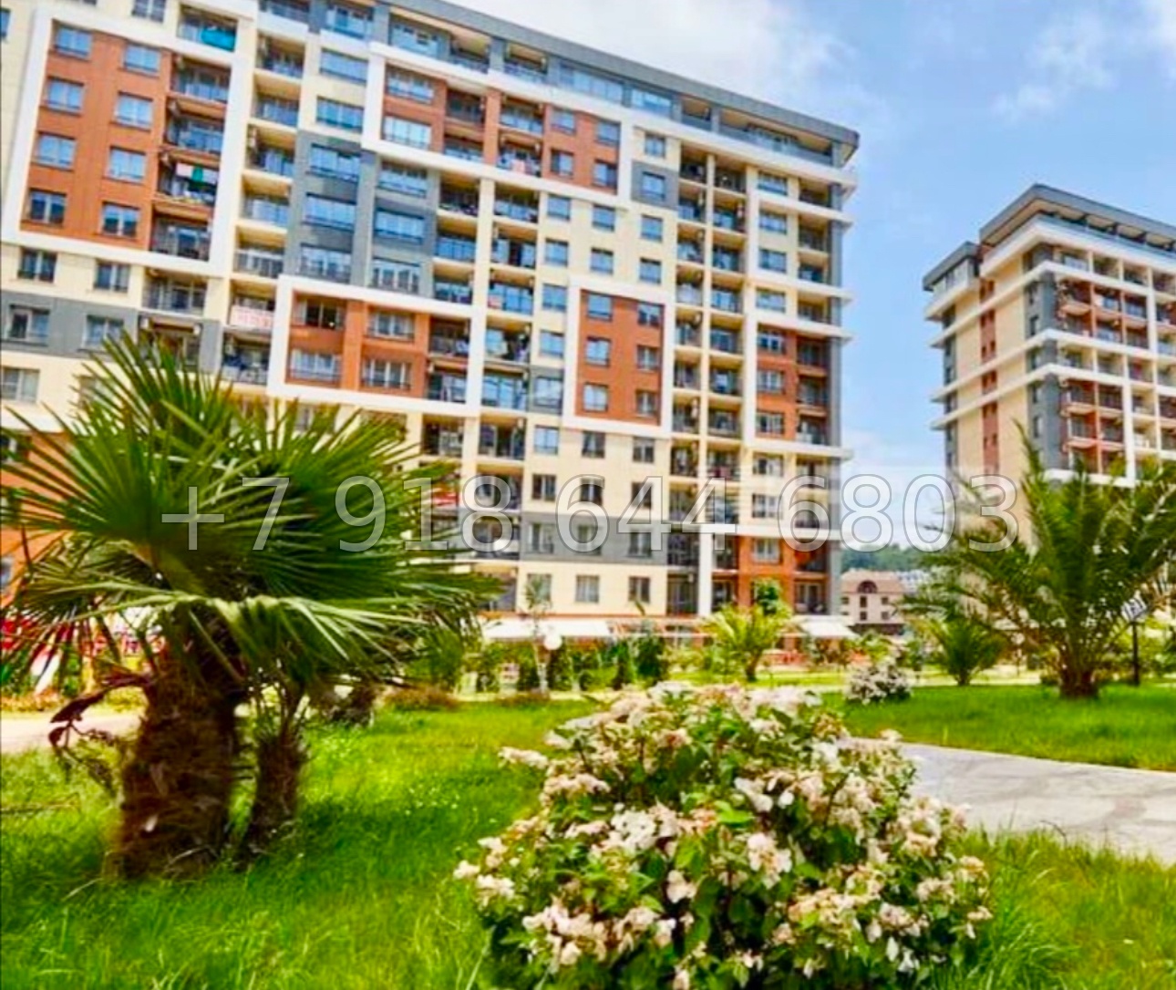 № 463 р. Квартира у моря в Сочи Дагомысе  - миниатюра 16