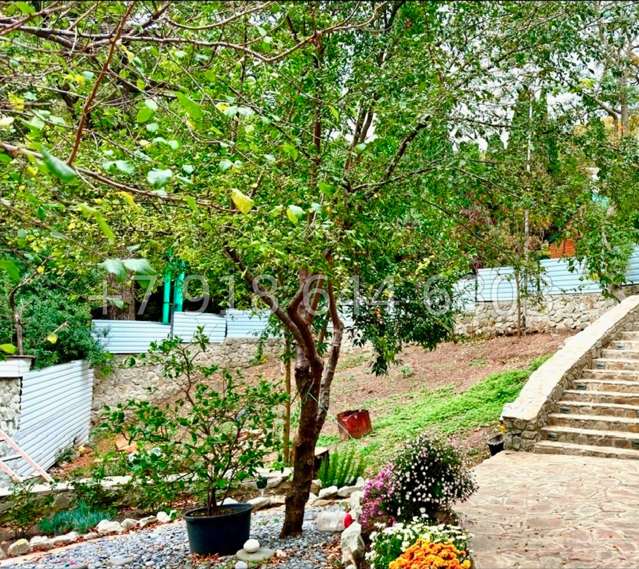 № 14 н. Дом в Ялте  - миниатюра 7