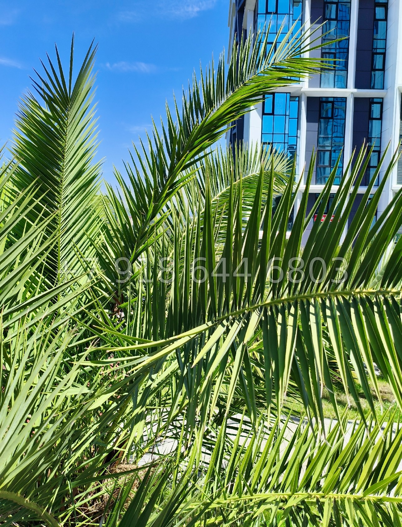 № 17 п. Квартира в ЖК Сочи Парк  - миниатюра 23