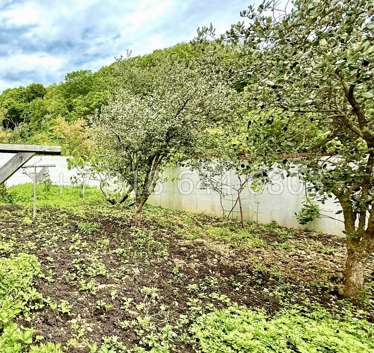 № 17 М. Дом с прекрасным видом на Олимпийский парк и море в Адлере  - миниатюра 15