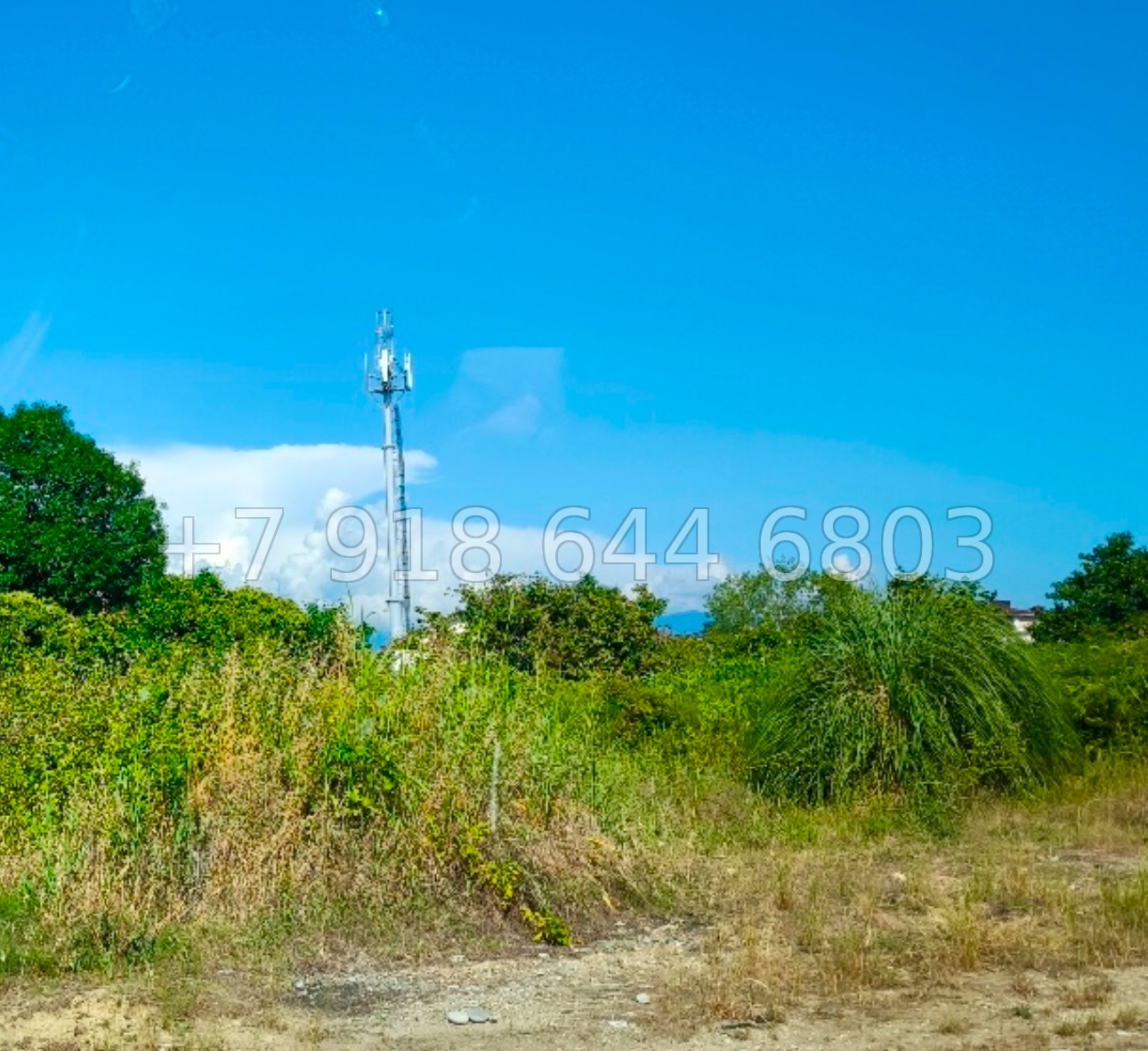 № 2у. Земля в Сириусе  - миниатюра 4