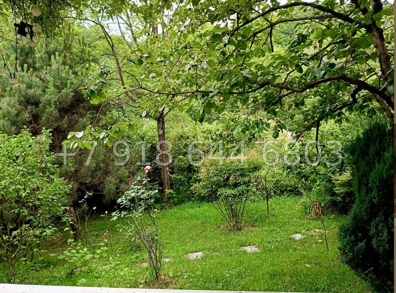 № 81А. Дача в Сочи  - миниатюра 16