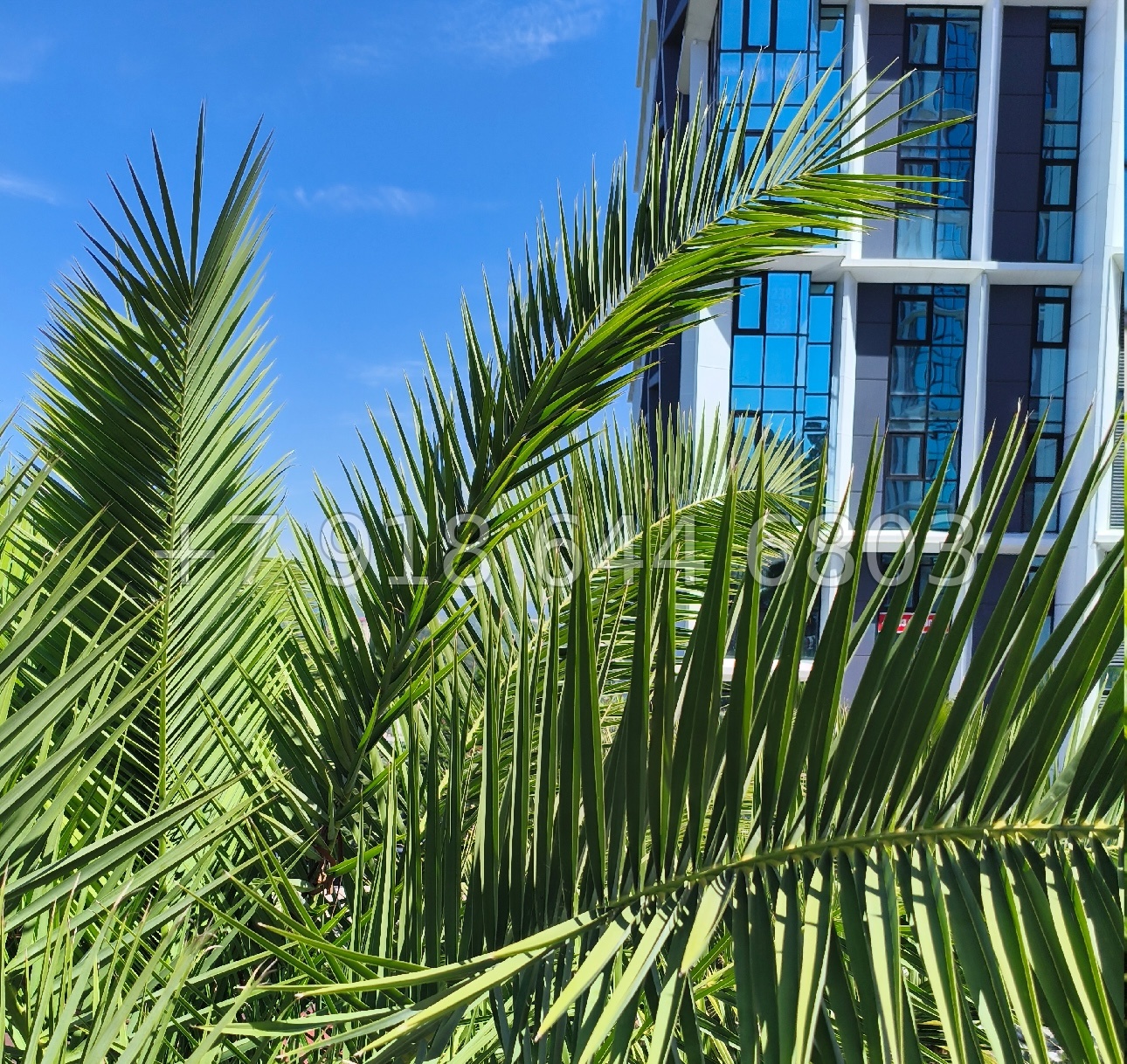 № 181 п. Самая низкая цена на эту площадь  - миниатюра 19