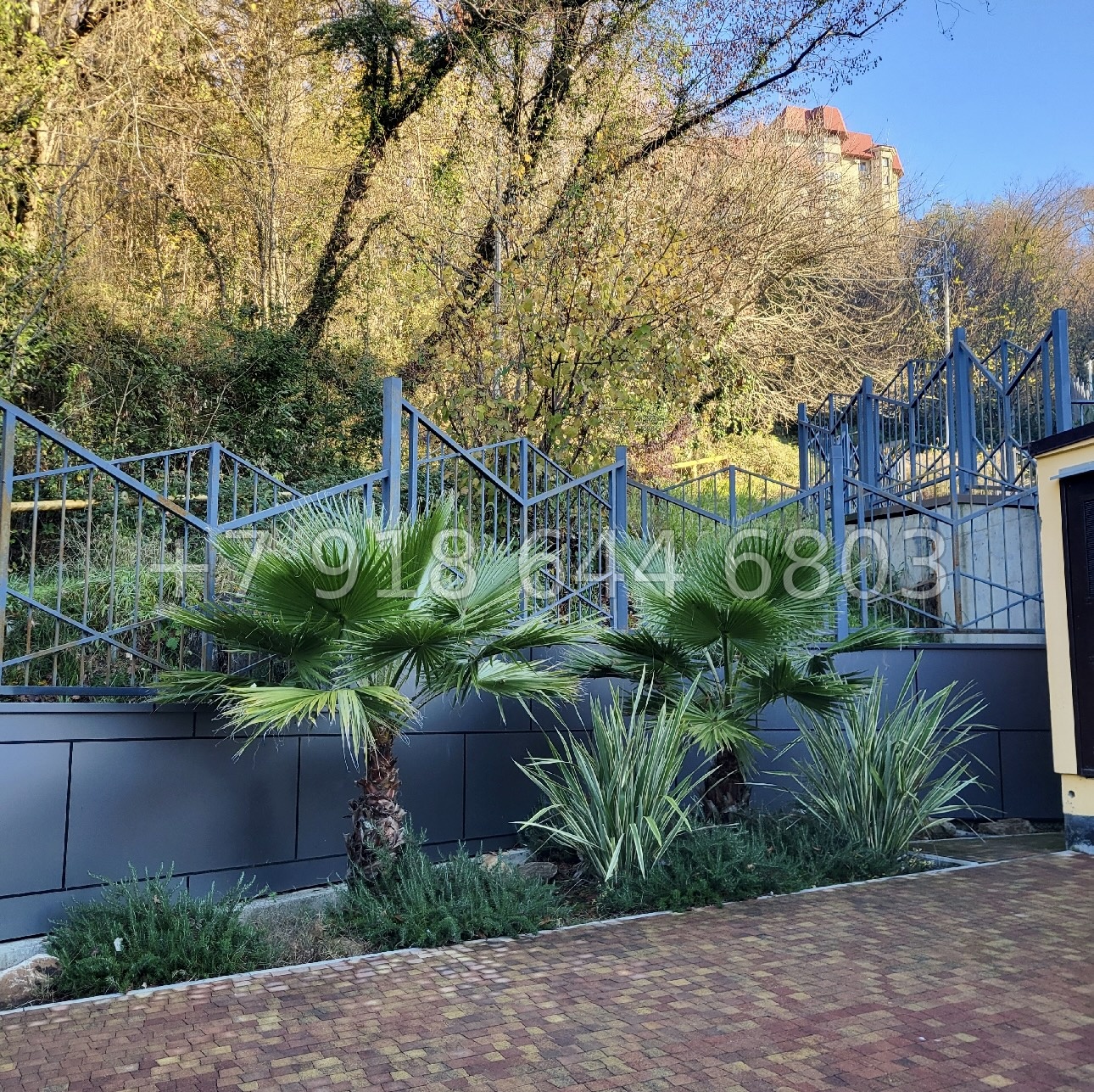 № 570 р. ЖК Южный Парк Сочи  - миниатюра 15