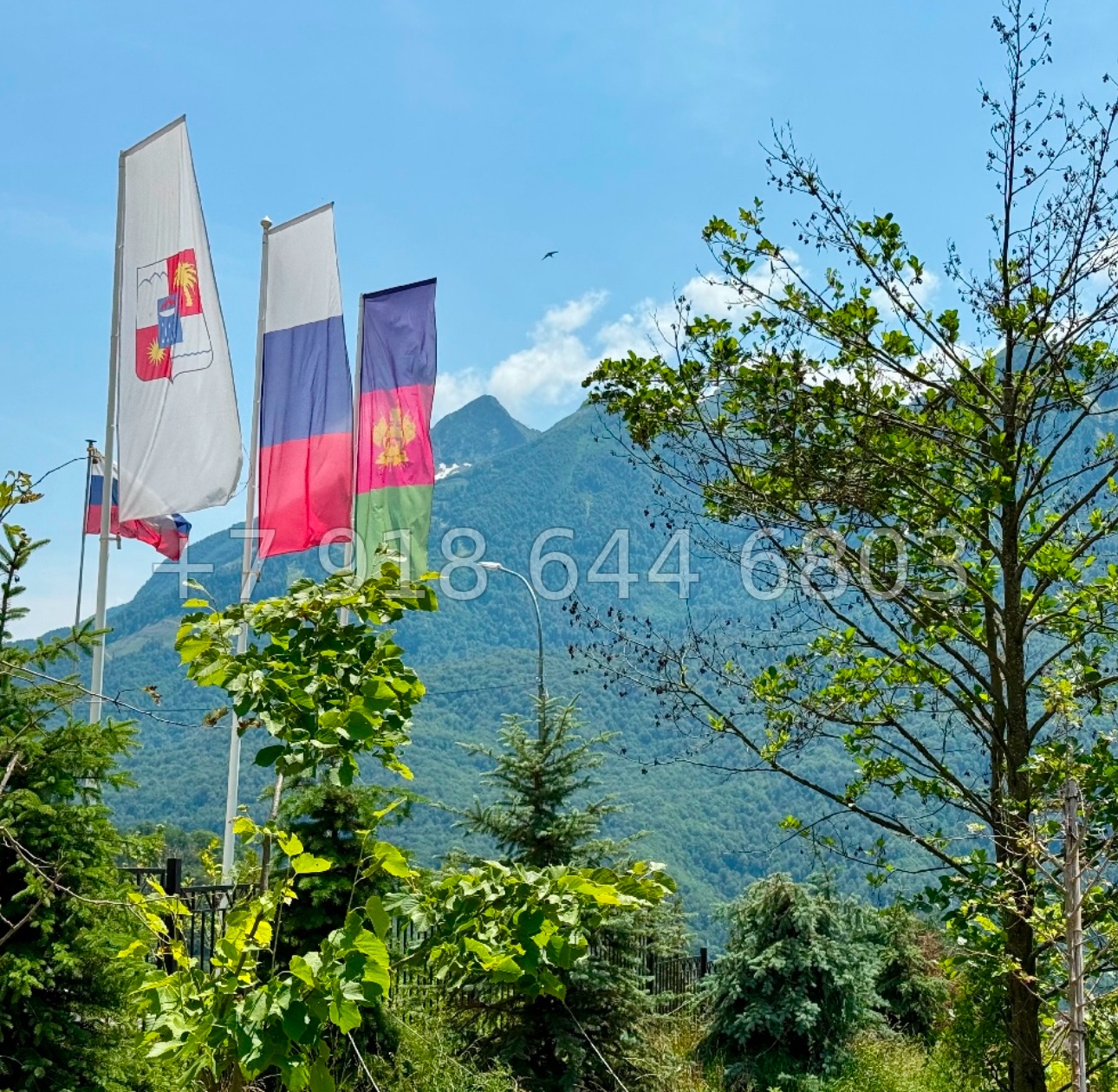 № 5и. Двухкомнатная Квартира с видом на горы - миниатюра 3