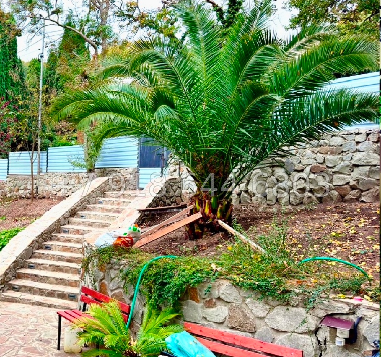 № 14 н. Дом в Ялте  - миниатюра 30